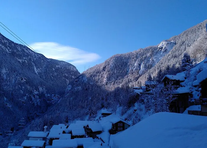 A Flanc De Montagne