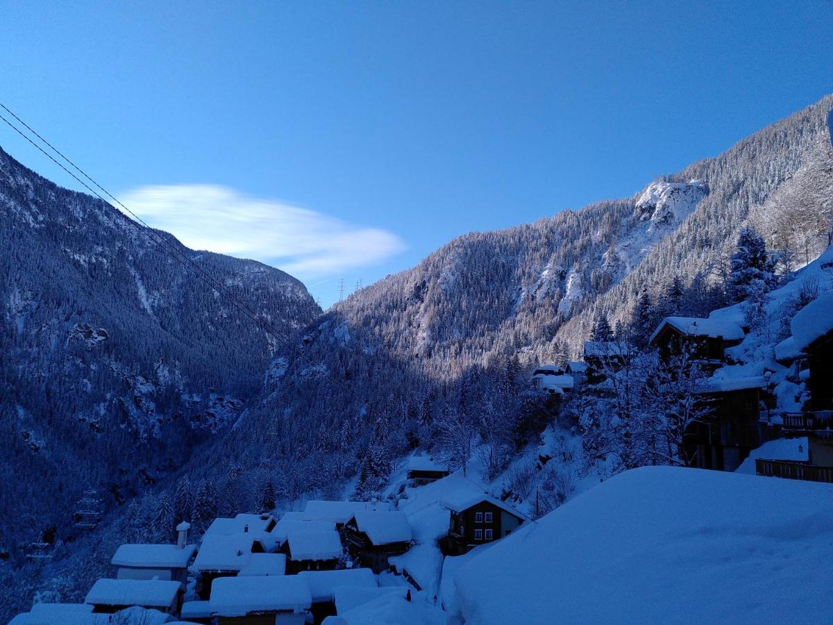 A Flanc De Montagne