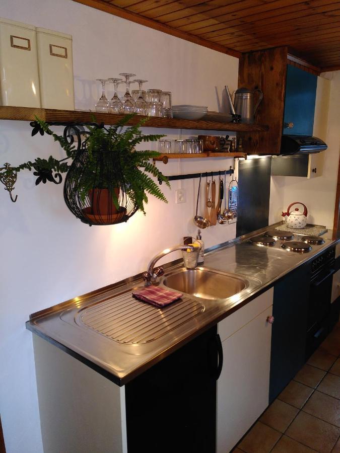 Apartment A Flanc De Montagne Le Tretien